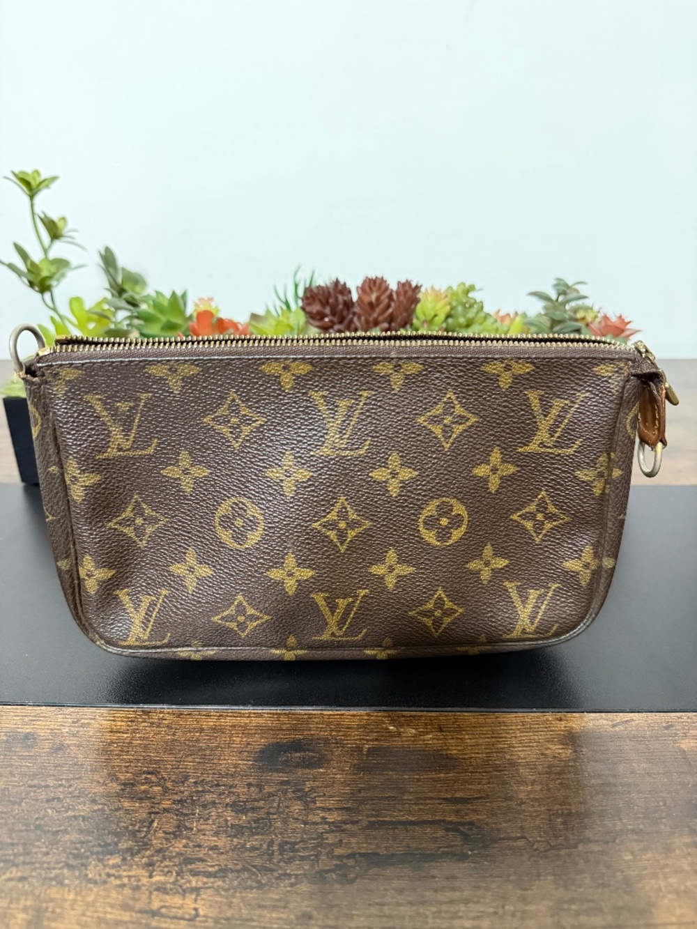 Louis Vuitton Pochette Accessoires in Monogram Canvas